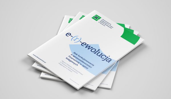 E-sprawozdawczość finansowa w opinii księgowych po roku funkcjonowania