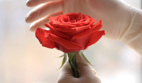 Księgowi na każdy czas!