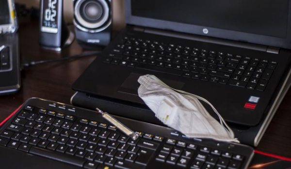 Prelekcje online dla członków Stowarzyszenia z całej Polski