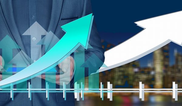 Pracownicze Plany Kapitałowe w kadrach i płacach