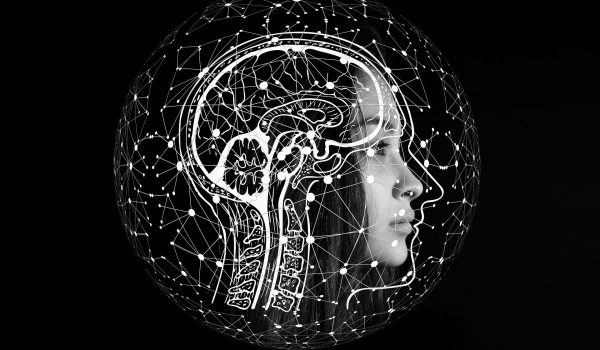 Informacje niefinansowe raportowane przez MŚP - ogłoszenie wyników podczas konferencji 28.10. br.