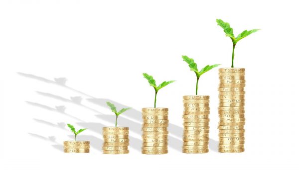 Pracownicze Plany Kapitałowe – nowe obowiązki pracodawców