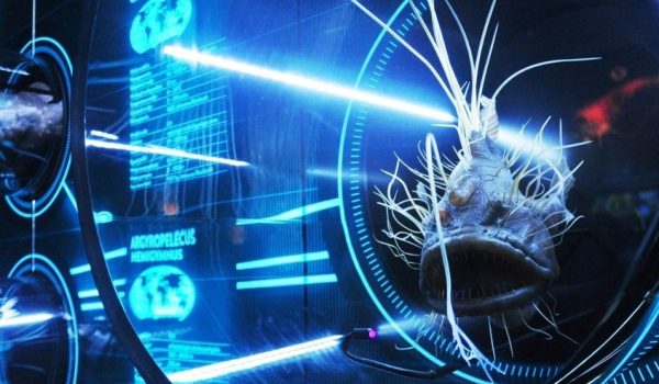 Obchody 65-lecia istnienia Oddziału Dolnośląskiego SKwP oraz 115-rocznicy powstania ruchu zawodowego księgowych na ziemiach polskich - 7.10.2022