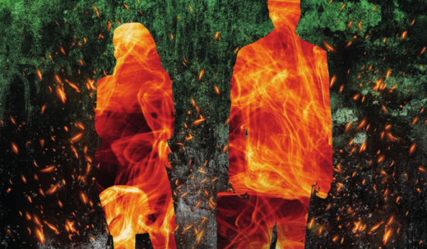 Wypalenie zawodowe biegłych rewidentek i rewidentów w Polsce - skala, przyczyny, skutki