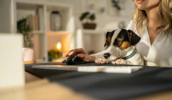 Praca wykonywana z domu zmieniła biznes na dobre