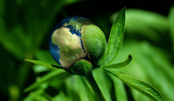 Nowy, globalny standard dotyczący atestacji sprawozdawczości z zakresu zrównoważonego rozwoju