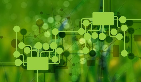 Ocena gotowości księgowych do raportowania zrównoważonego rozwoju